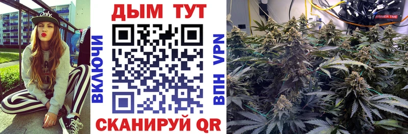 МЕГА как зайти  Макаров  Бошки марихуана Amnesia 